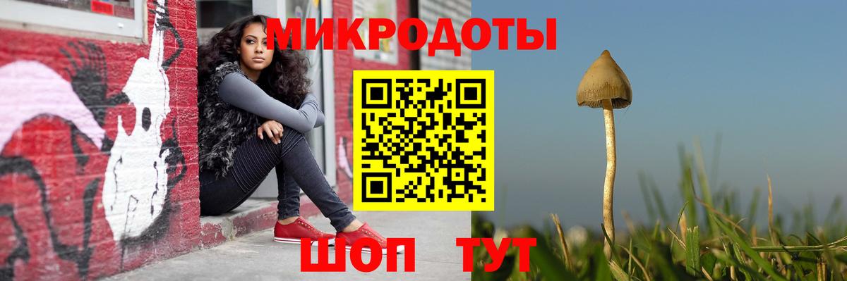 Псилоцибиновые грибы Magic Shrooms Серпухов